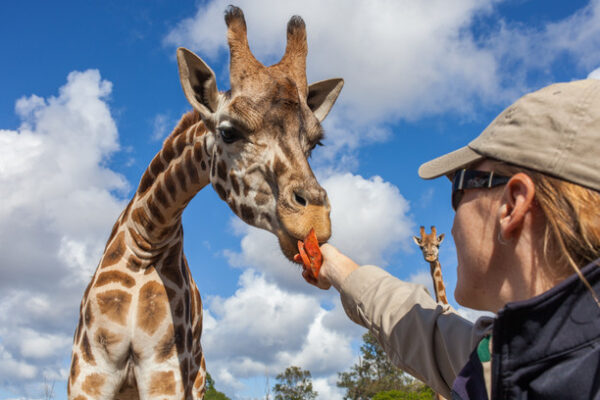 Zoos Victoria - 2013